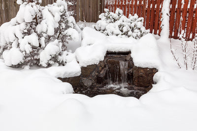Winterizing Your Backyard Pond for Beauty