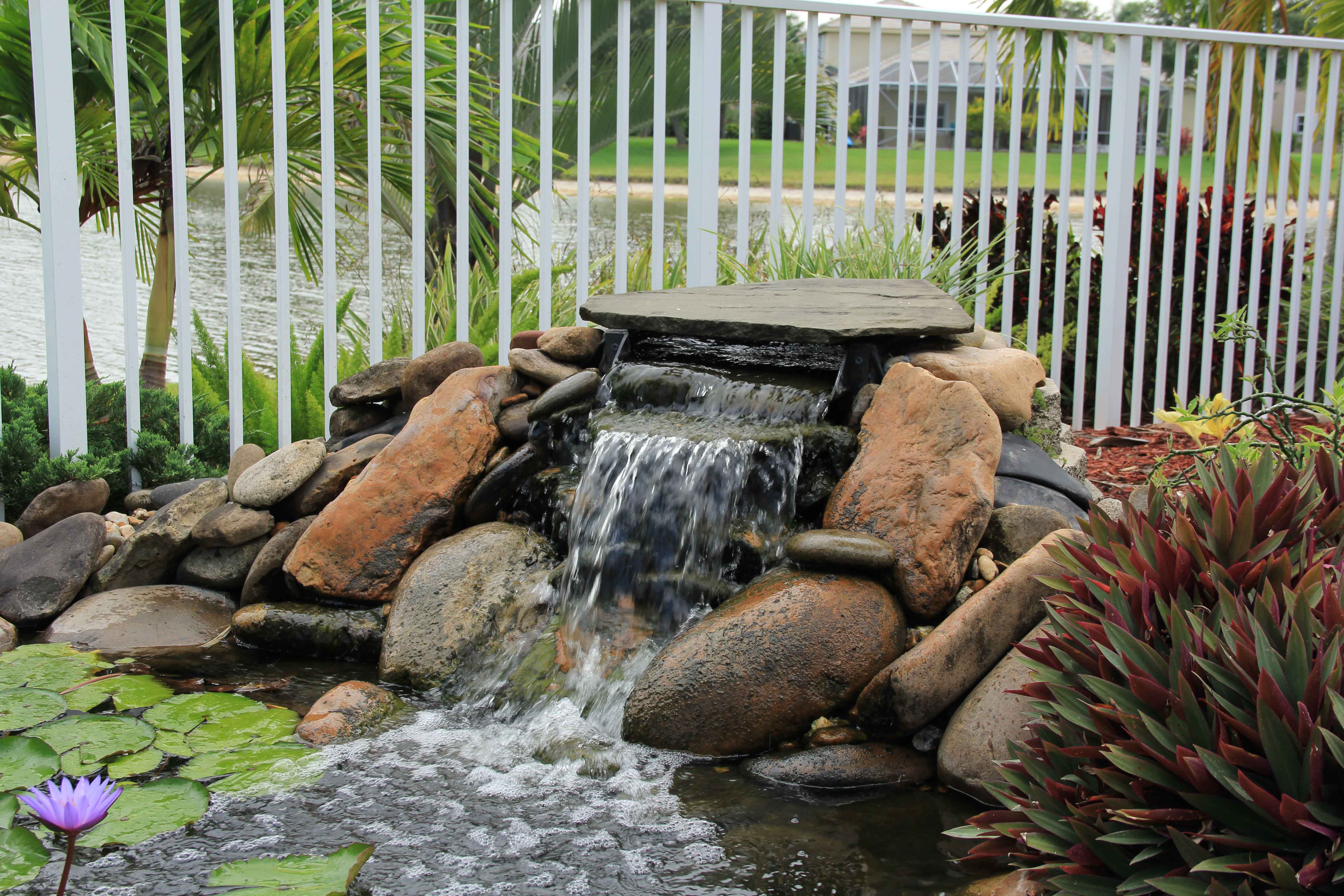 How to Build a Pond