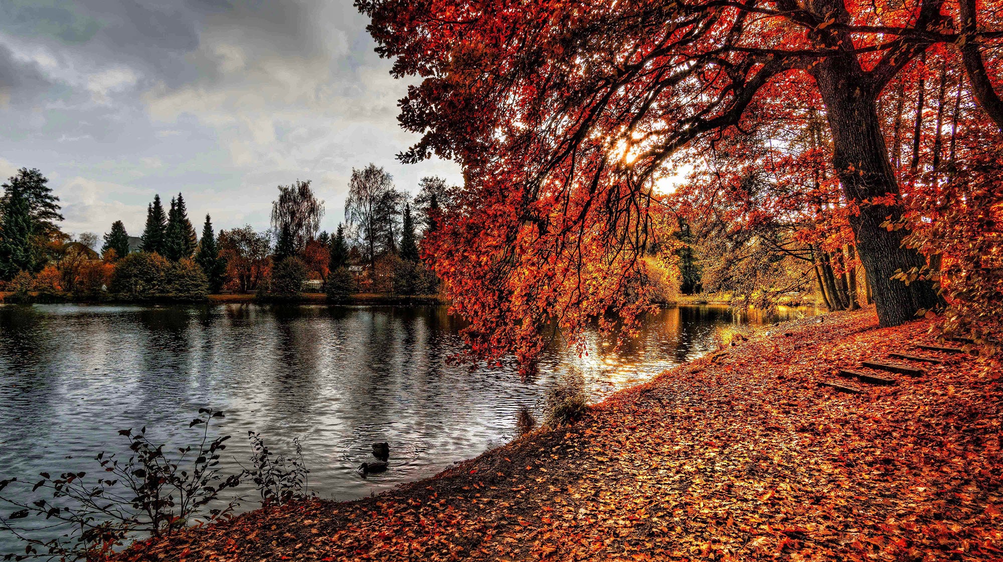 Fall Lake Maintenance