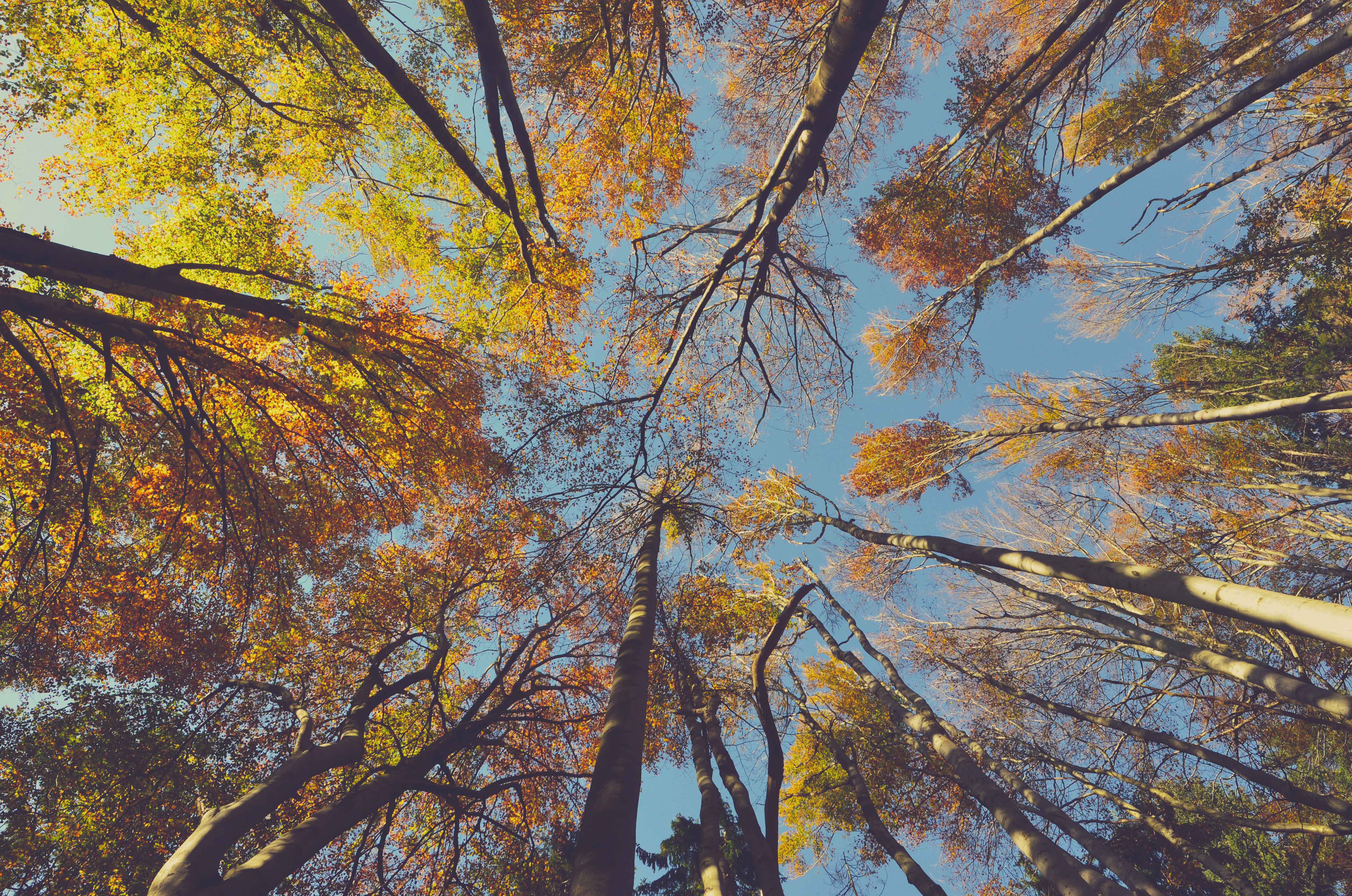 The Best Water Treatments to Use in Fall