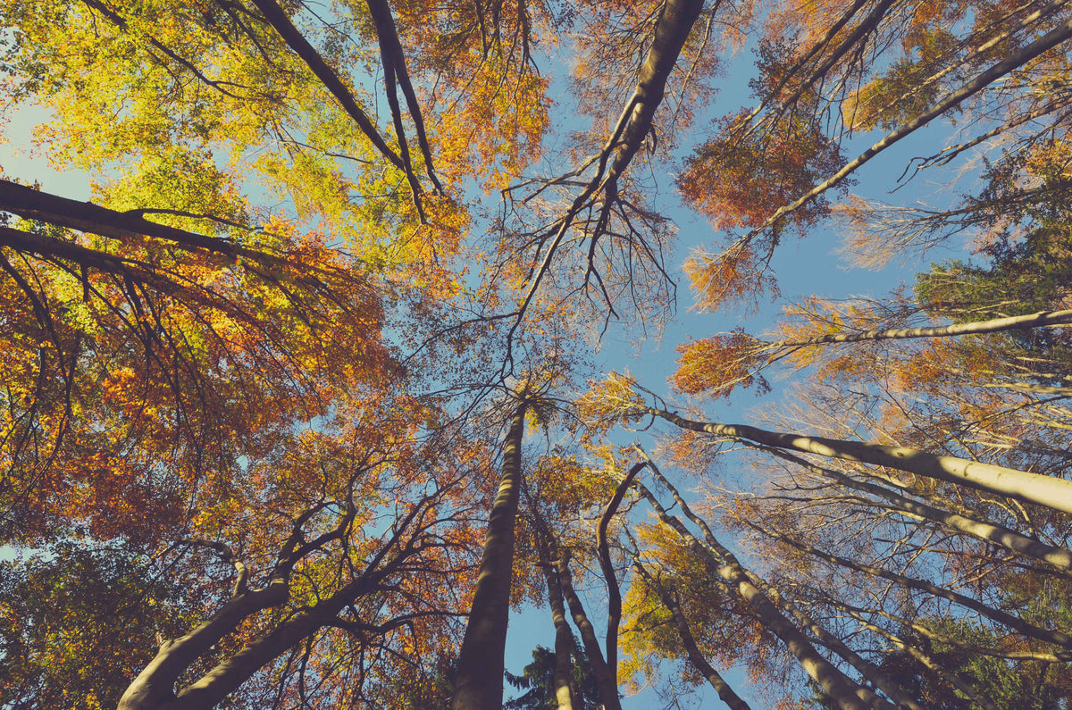 The Best Water Treatments to Use in Fall