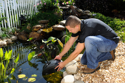 Filtration Systems and Products for Ponds with Fish