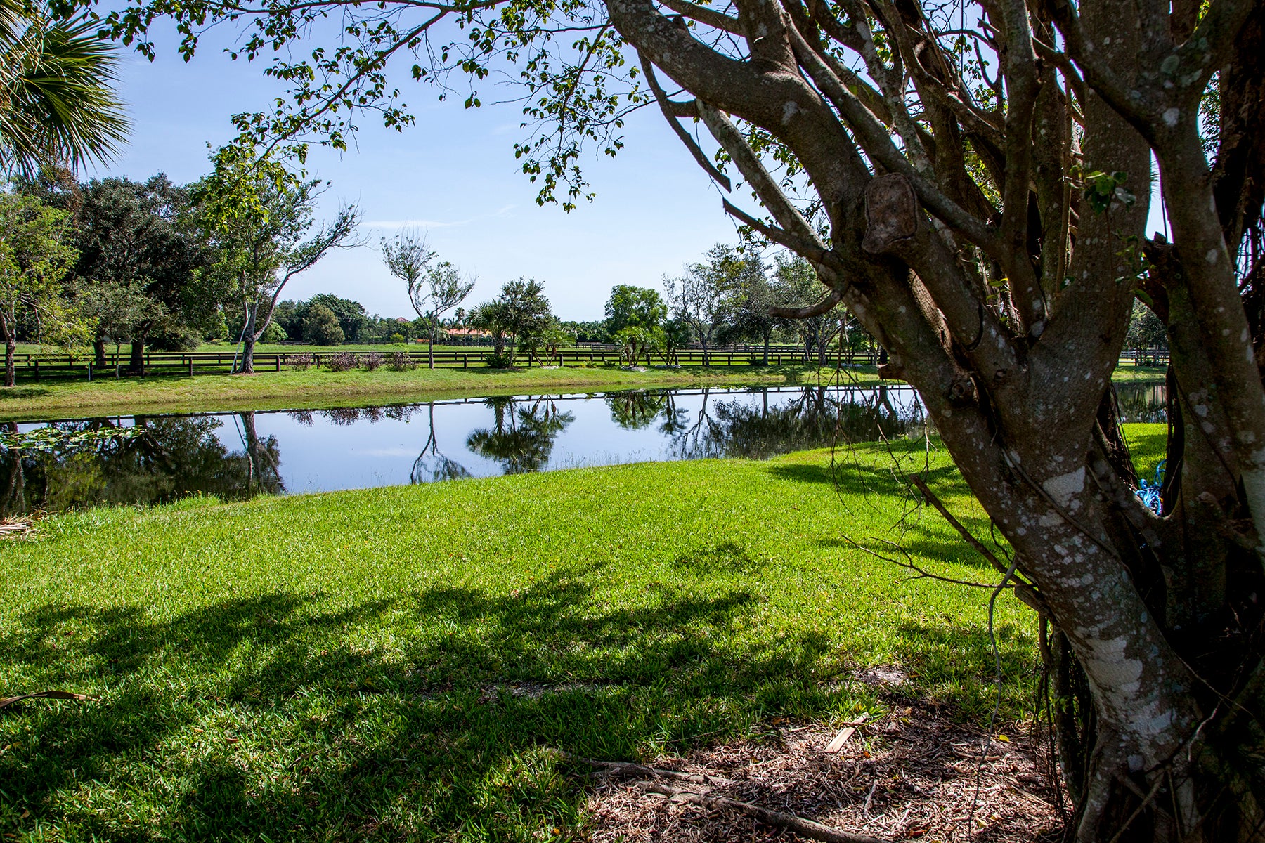 How to Protect Your Lake During a Drought