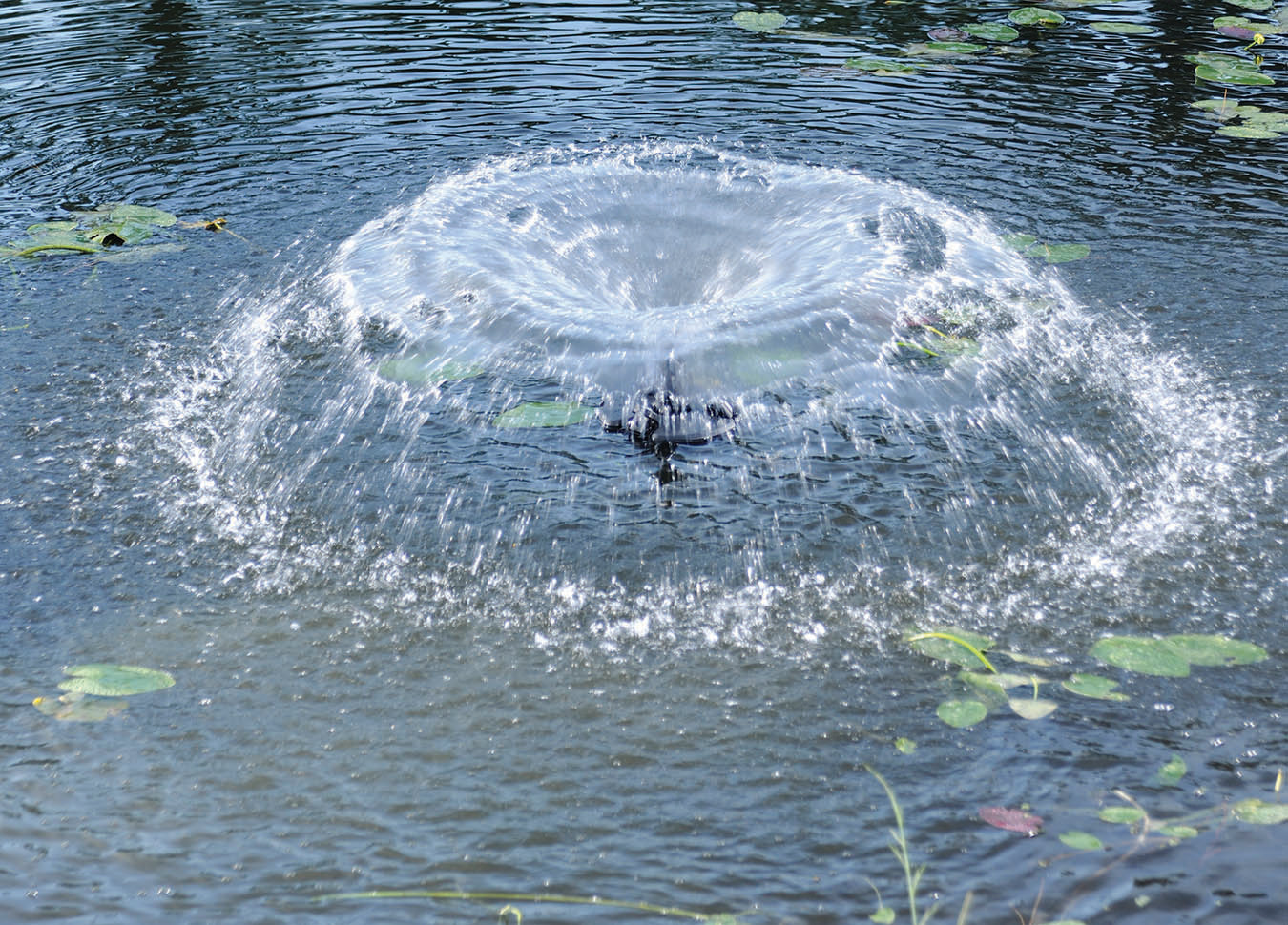 6 Reasons to Aerate Your Lake