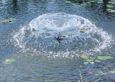 6 Reasons to Aerate Your Lake