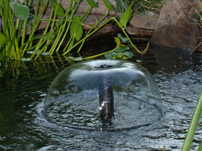 Summer Tips for Healthy Backyard Pond