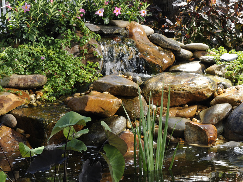 Waterfall Pumps