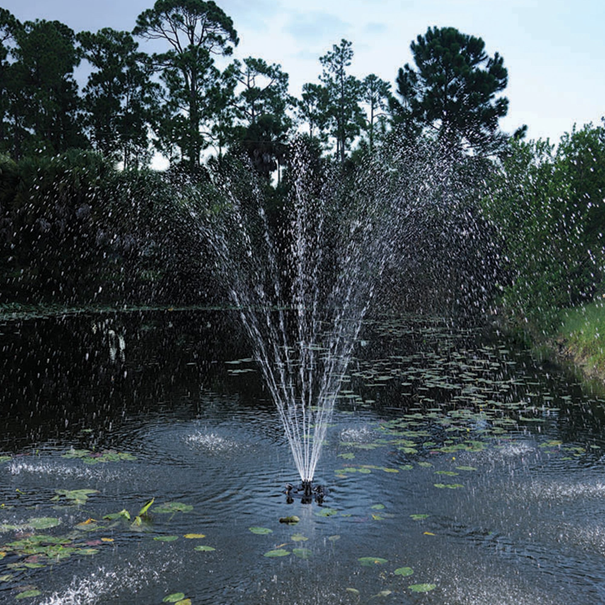 1/2 HP Floating Fountain with Lights Single Tier Nozzle
