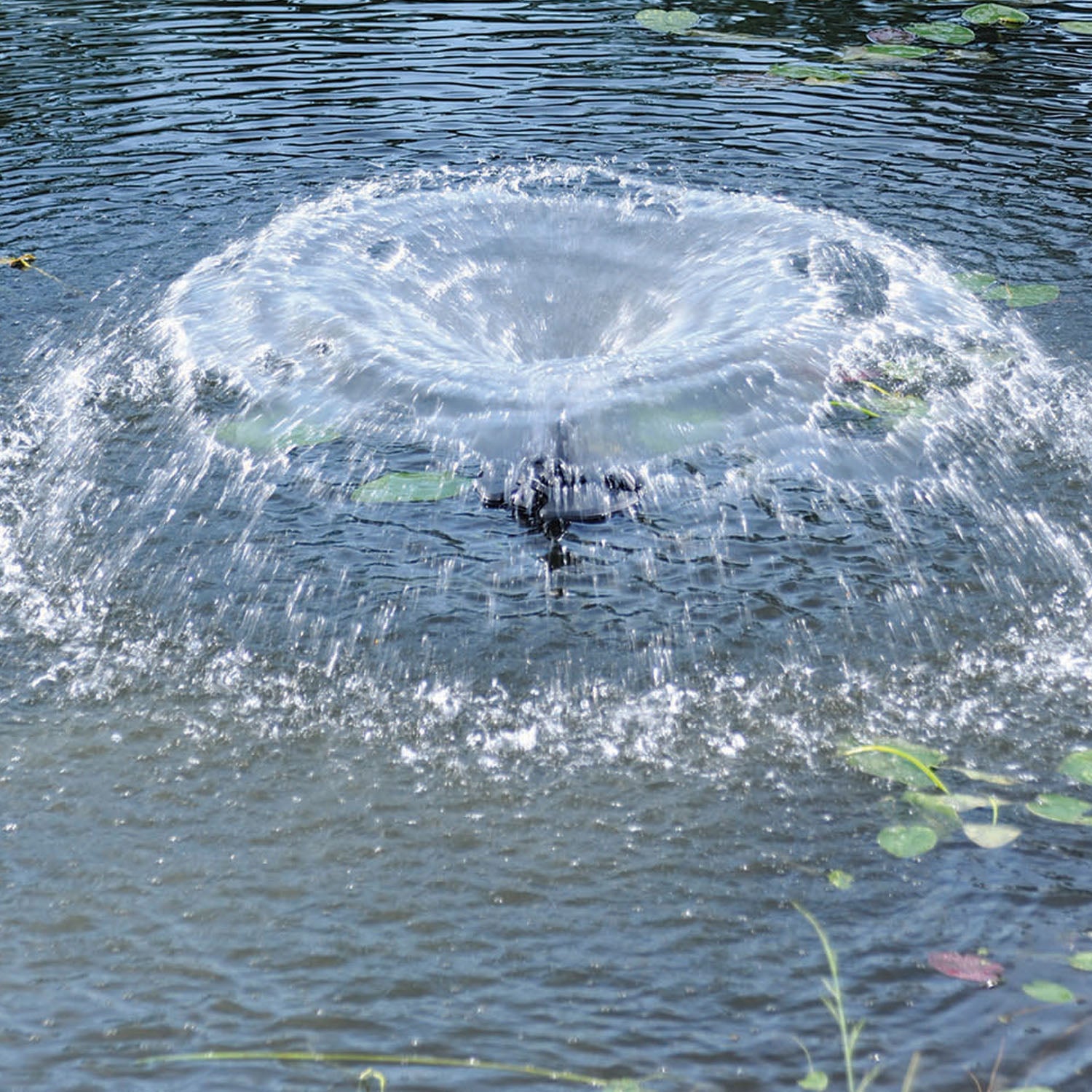 1/4 HP Floating Fountain with Lights Trumpet Nozzle