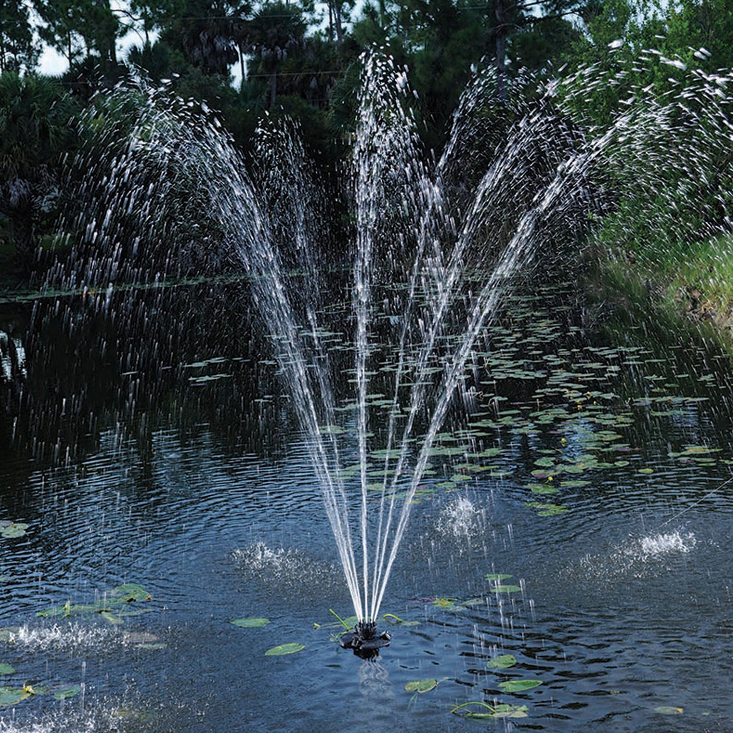 1/4 HP Floating Fountain with Light Single-Tier Nozzle