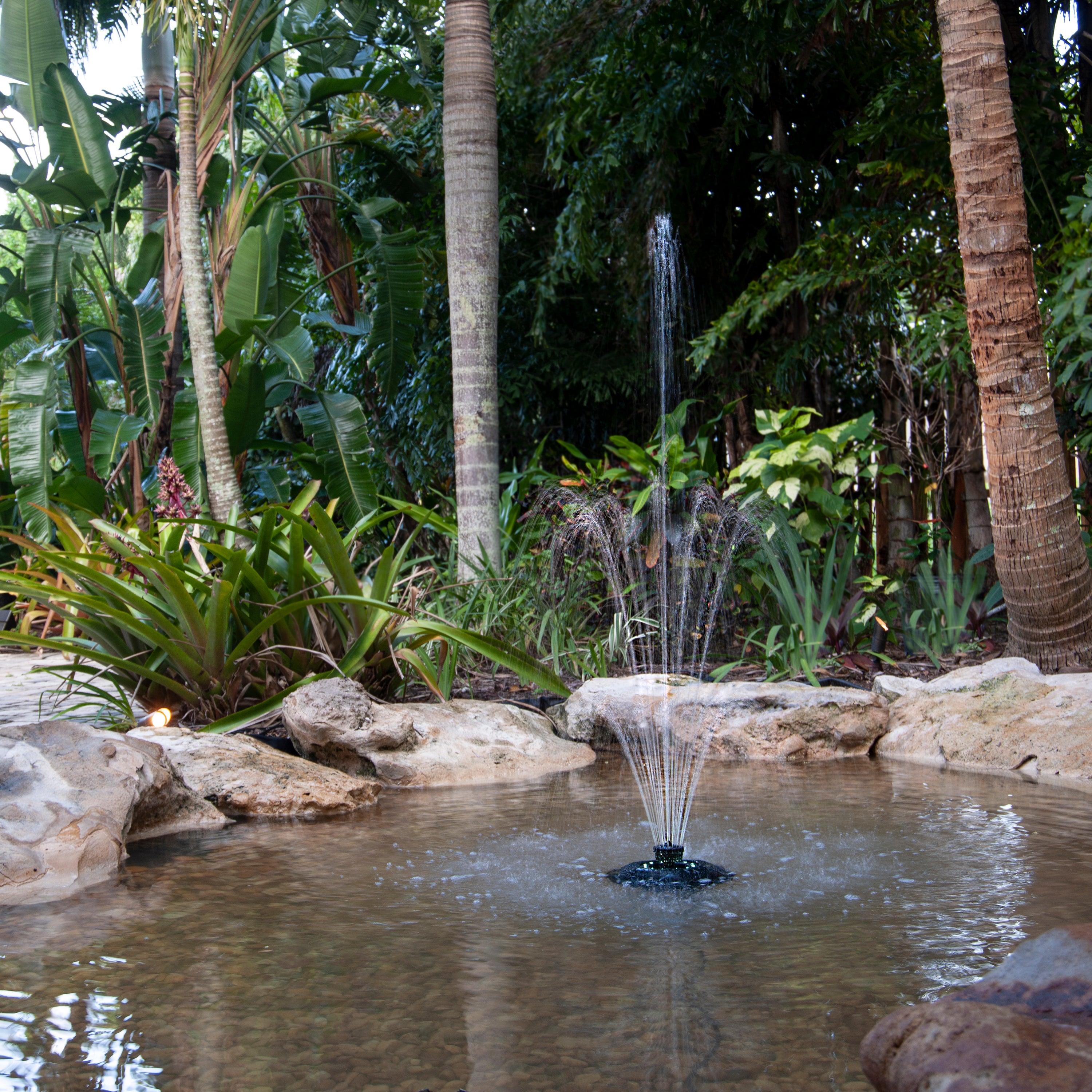 Floating Fountain with White LED Lights In Use