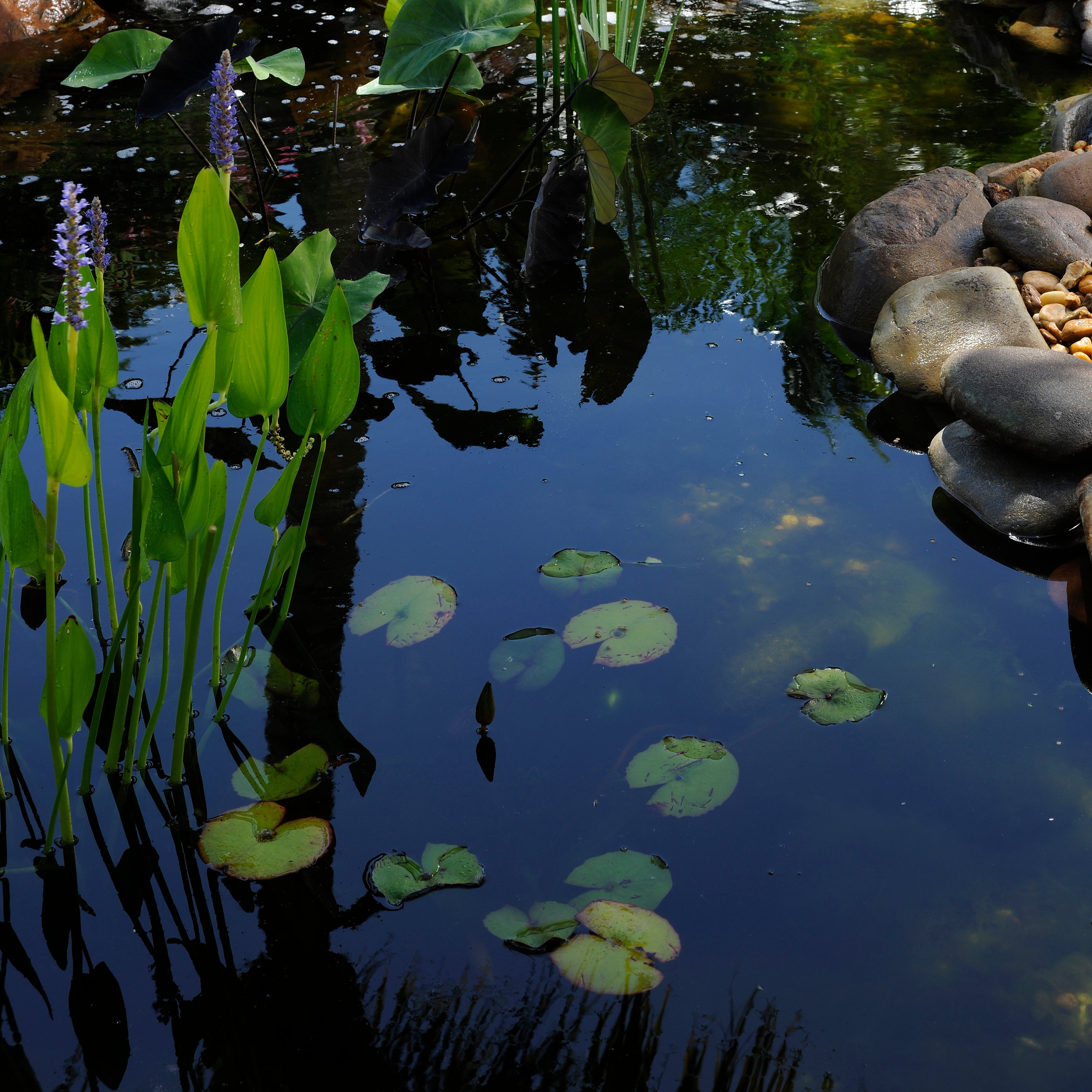 pond skins® Liner Patch Kit In Use