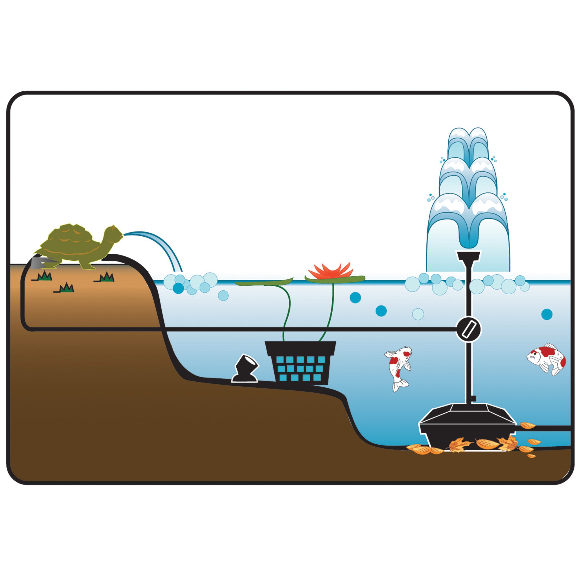 Medium Filter Kit with Pump Installation Illustration