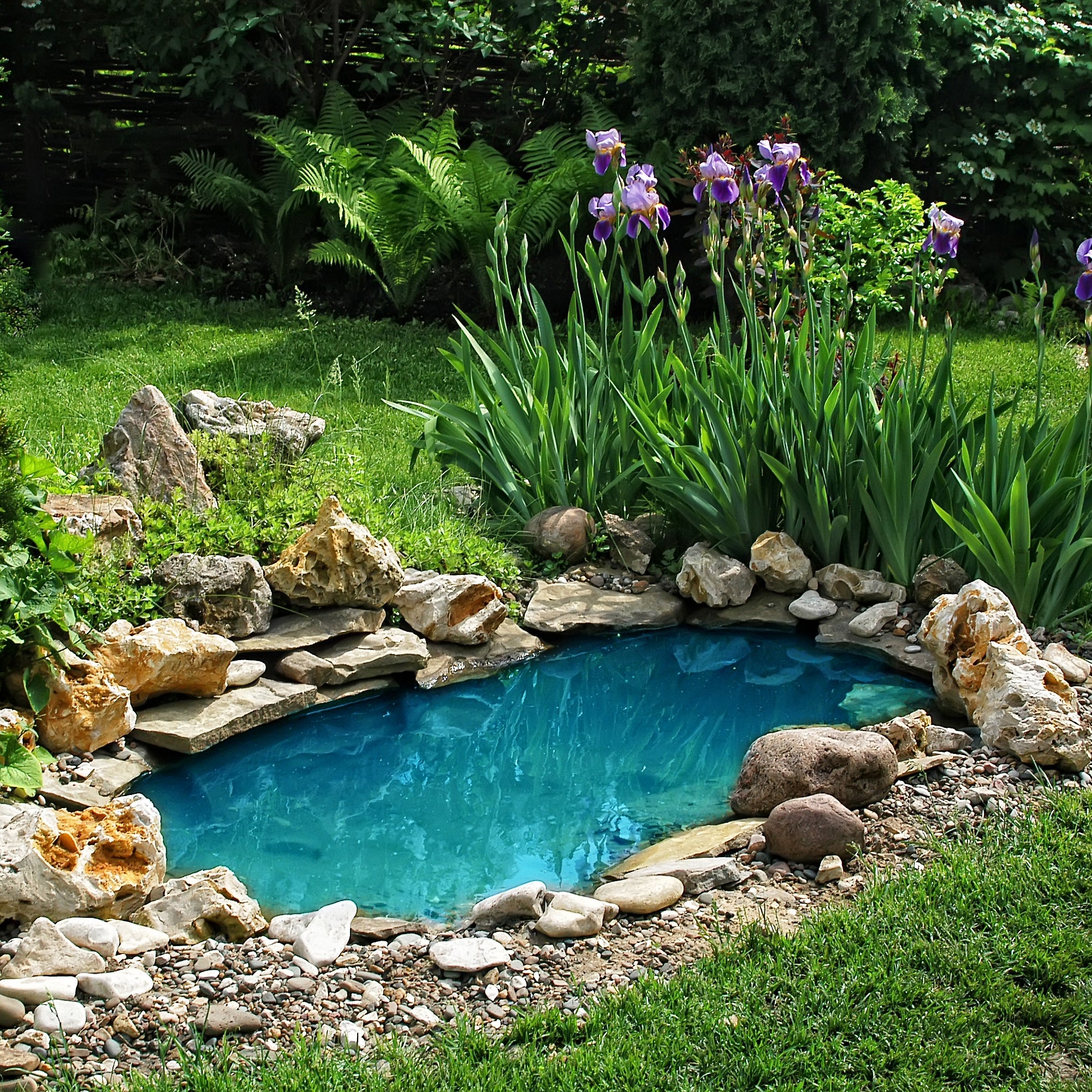 Pond Blue In Use