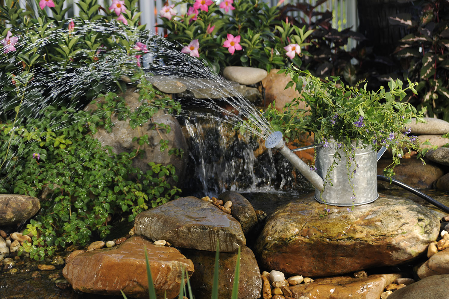 4 Features to Add to Your Backyard Pond this Spring
