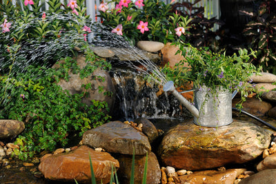 4 Features to Add to Your Backyard Pond this Spring