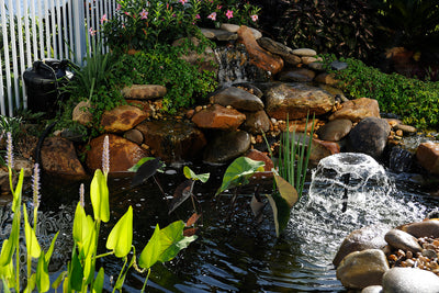 Pond Water Features: More Than Just Nice to Look At!
