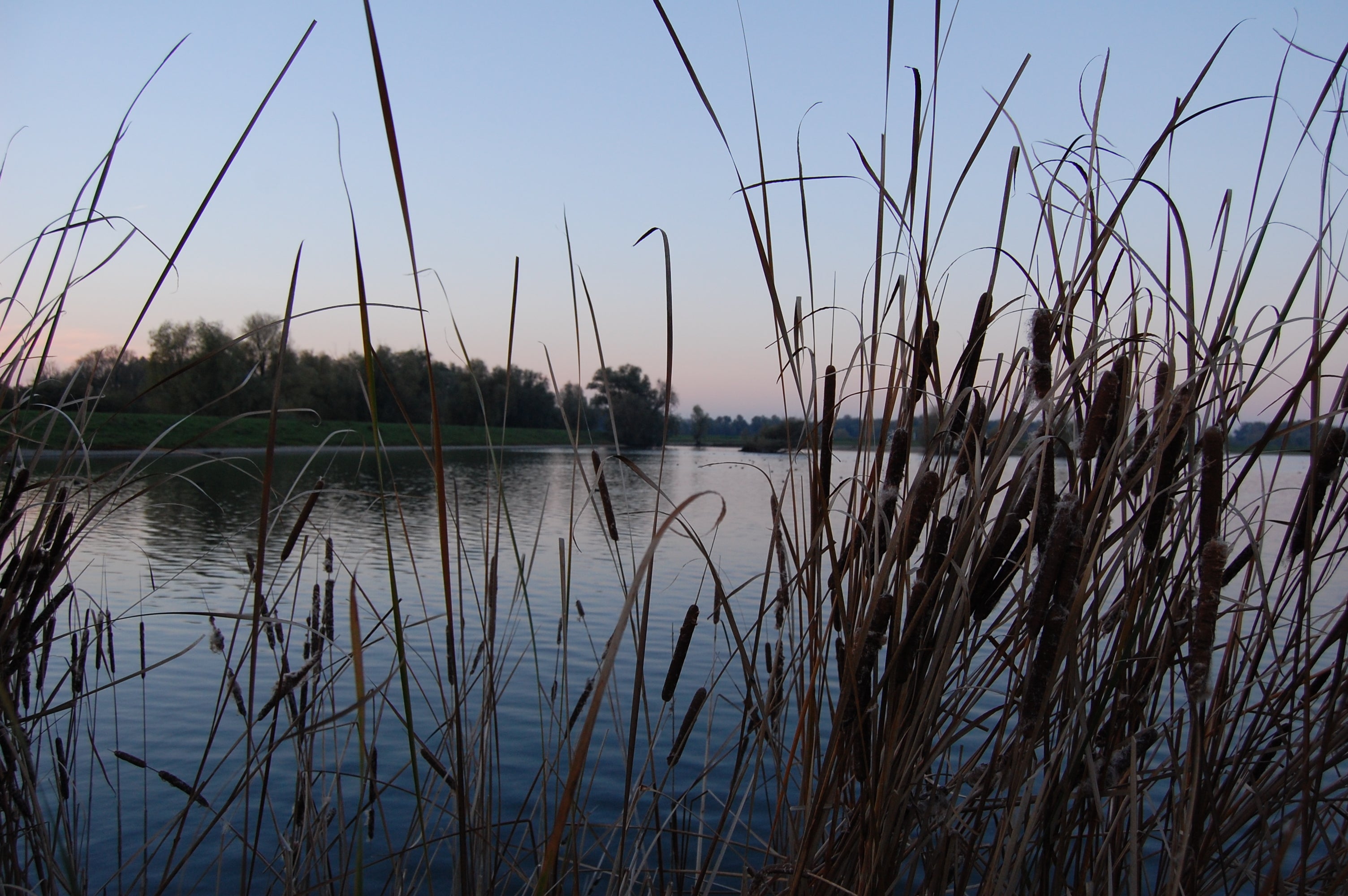 What Is Lake Turnover?