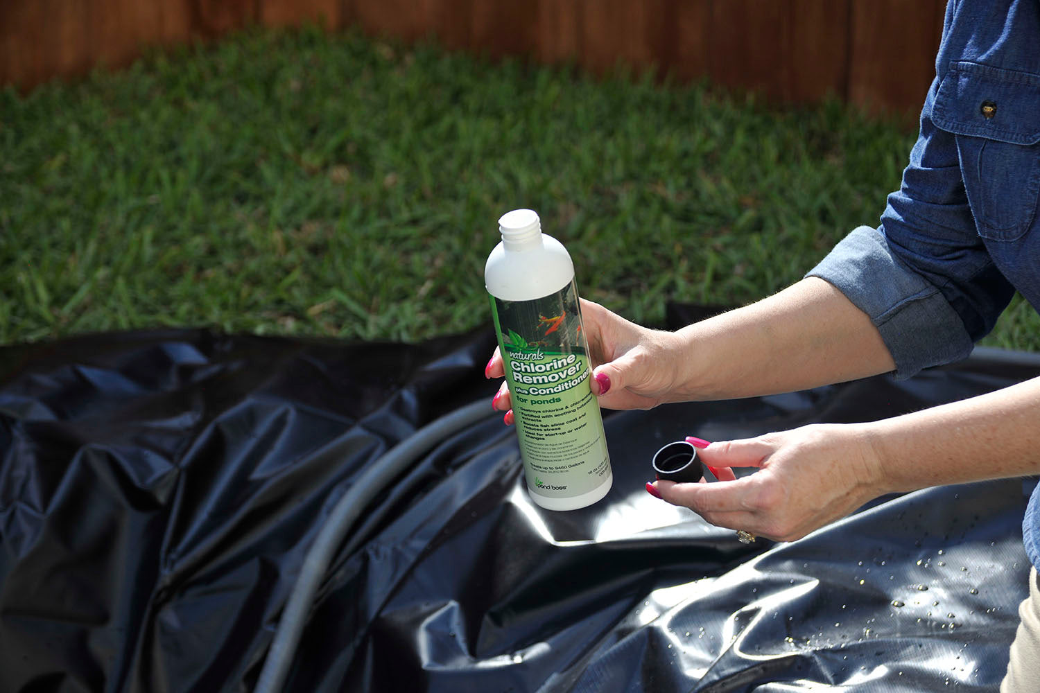 A Simple Spring To-Do List for Your Water Garden