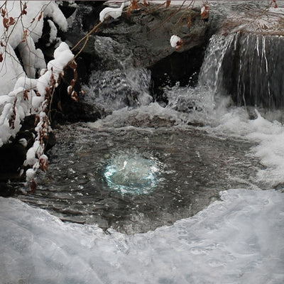What to do in a Pond Freeze