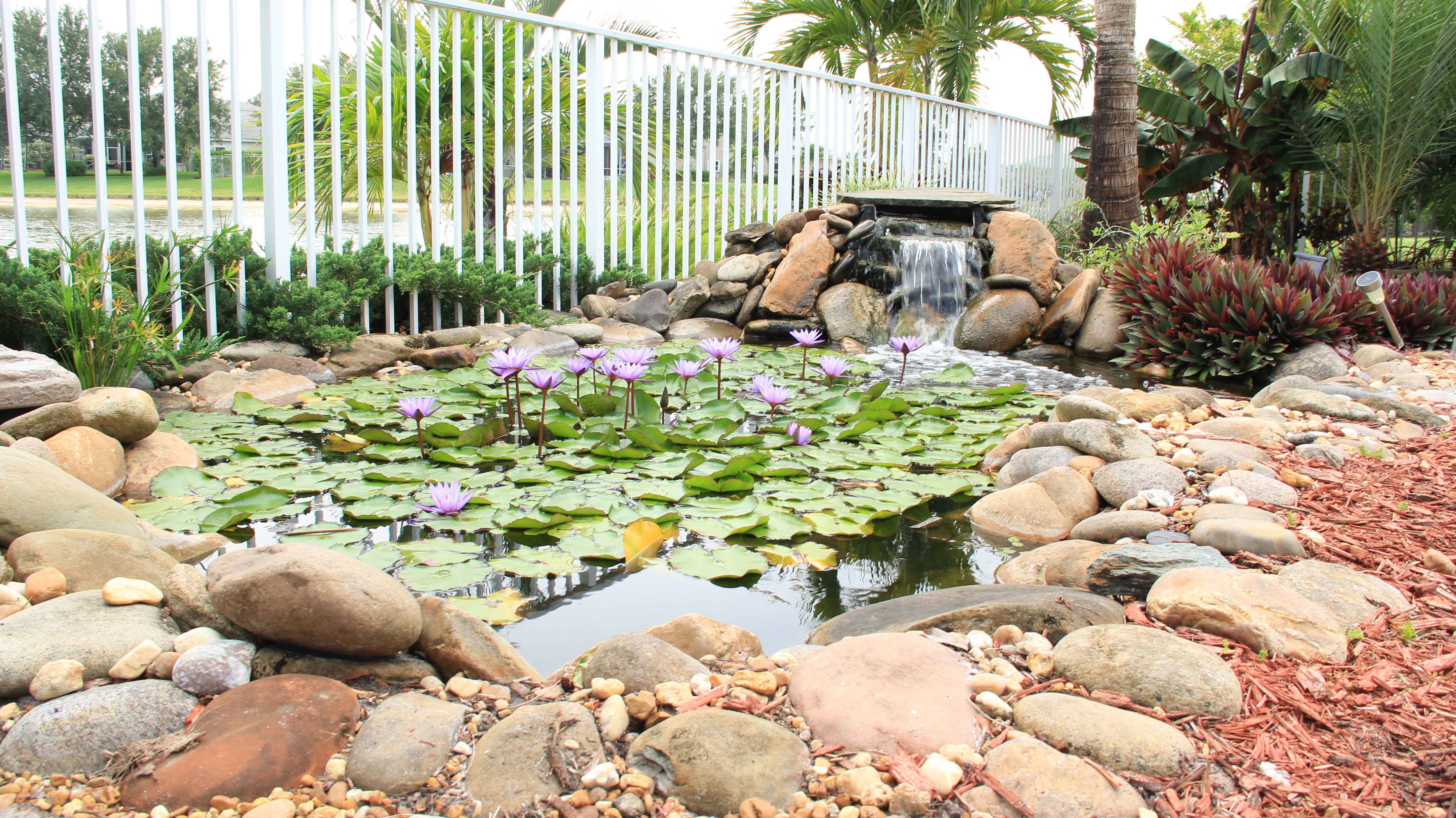 What’s Your Yard’s Feature Attraction?