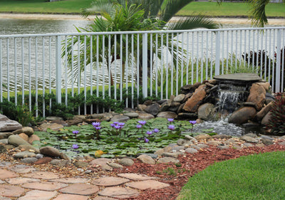 How to Add a Waterfall to Your Pond