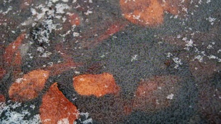 What Do I Do When My Pond Freezes Over?