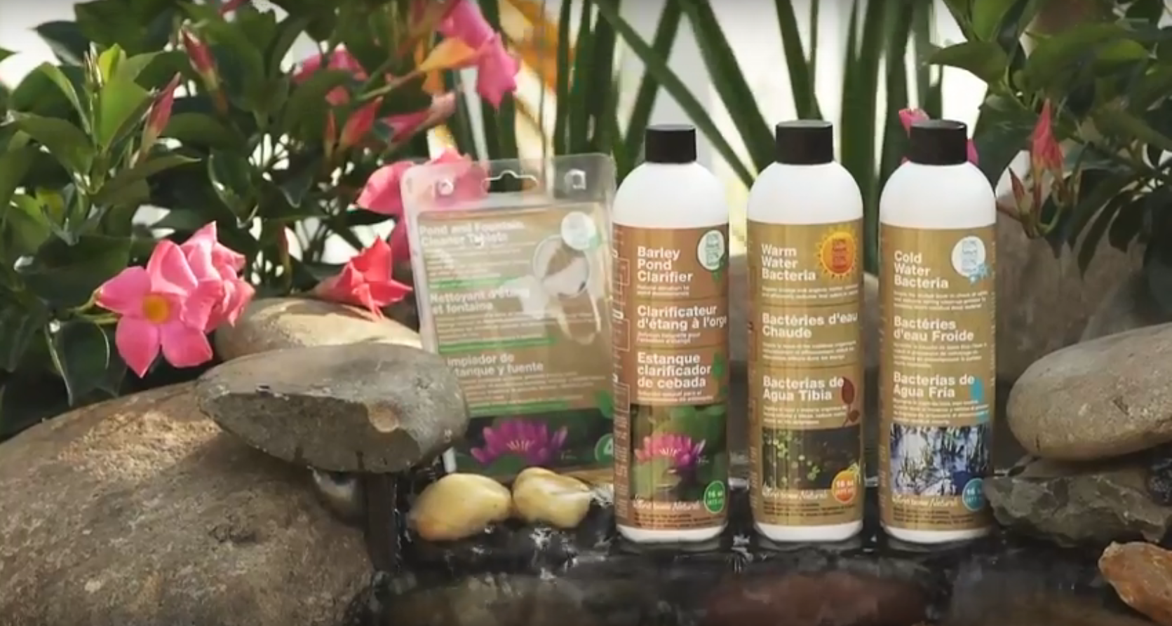 Bring Balance to Your Pond with Beneficial Bacteria
