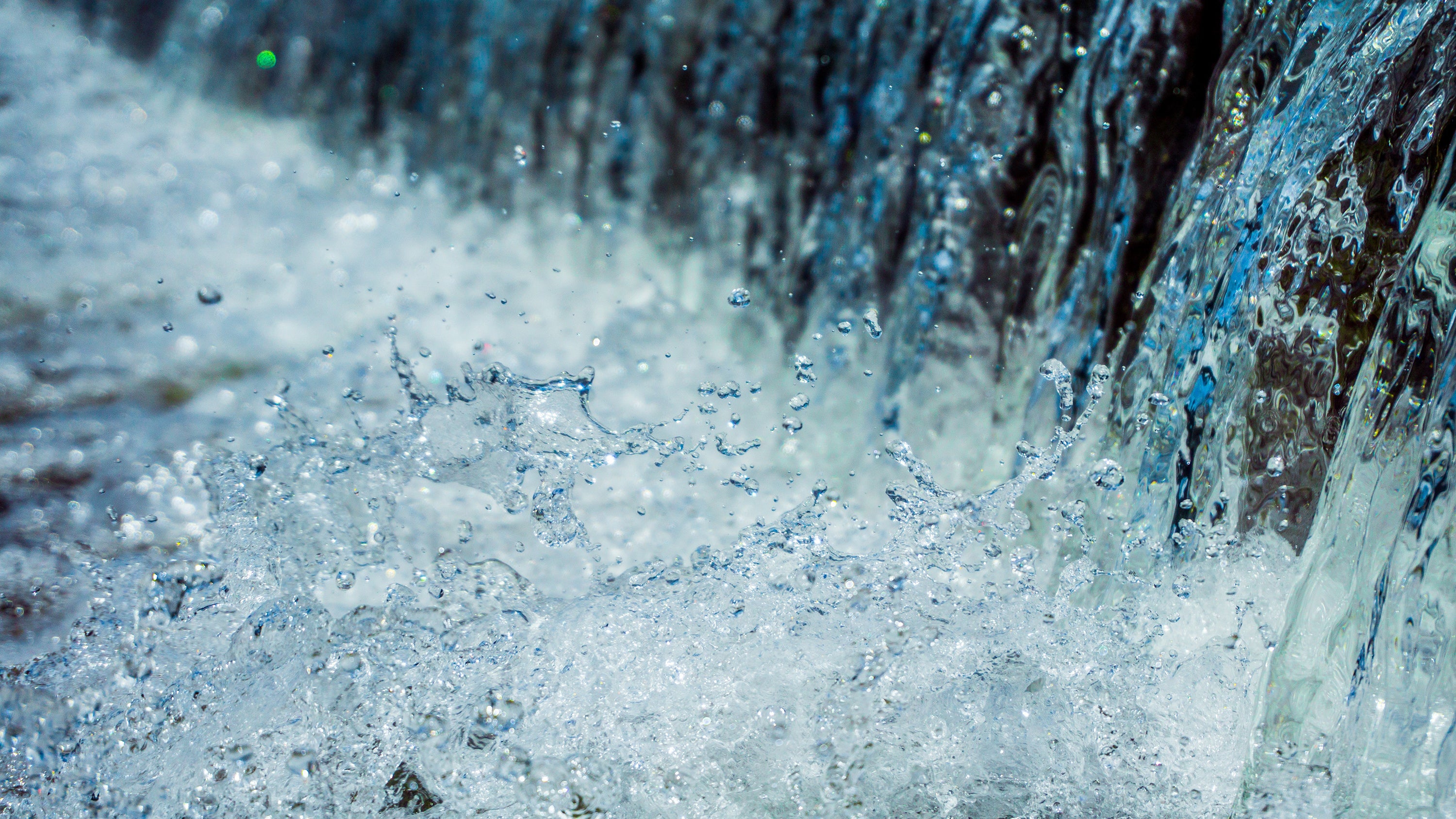 How to Monitor Your Pond For Common Issues