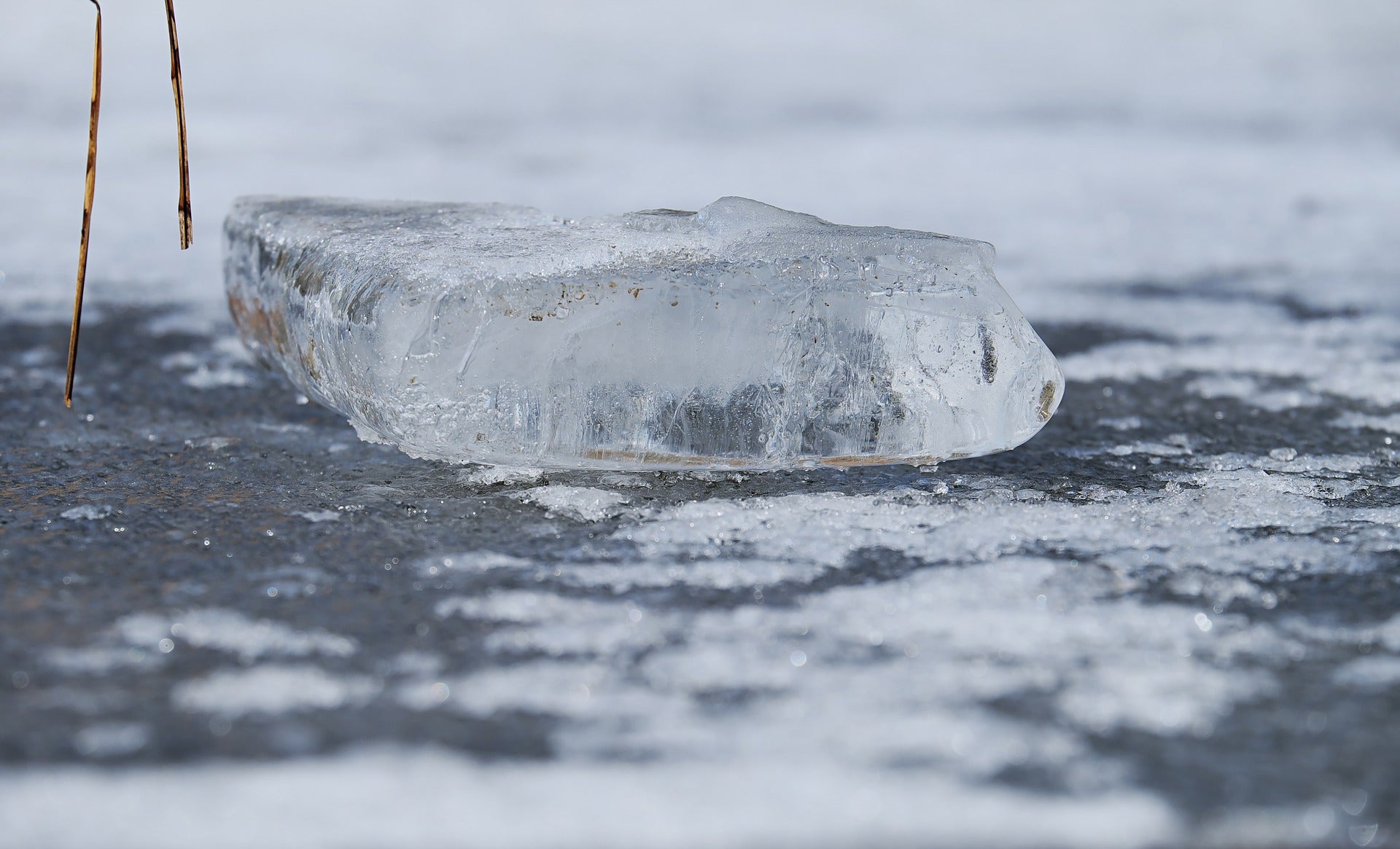 Pond Items to Remove in the Winter