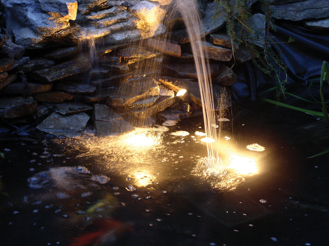 Enjoy Your Pond More This Fall