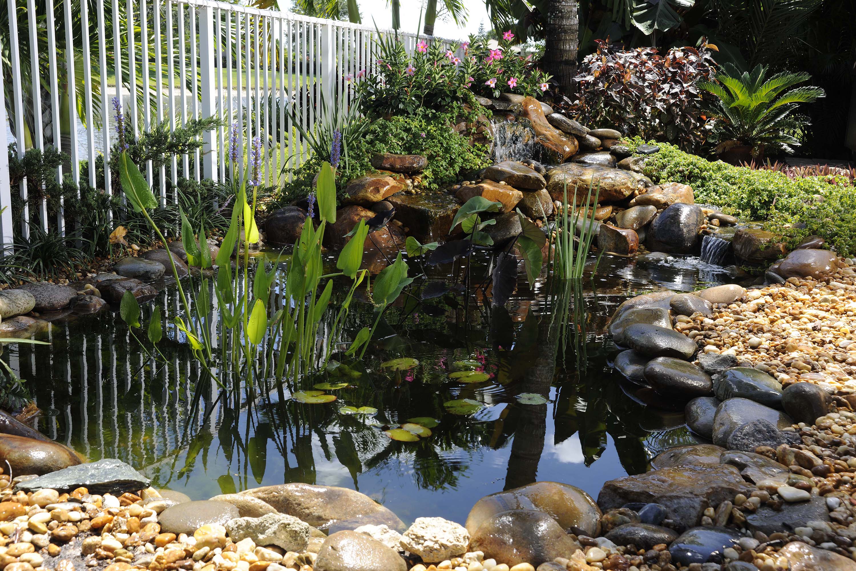 How to Size Your Pond