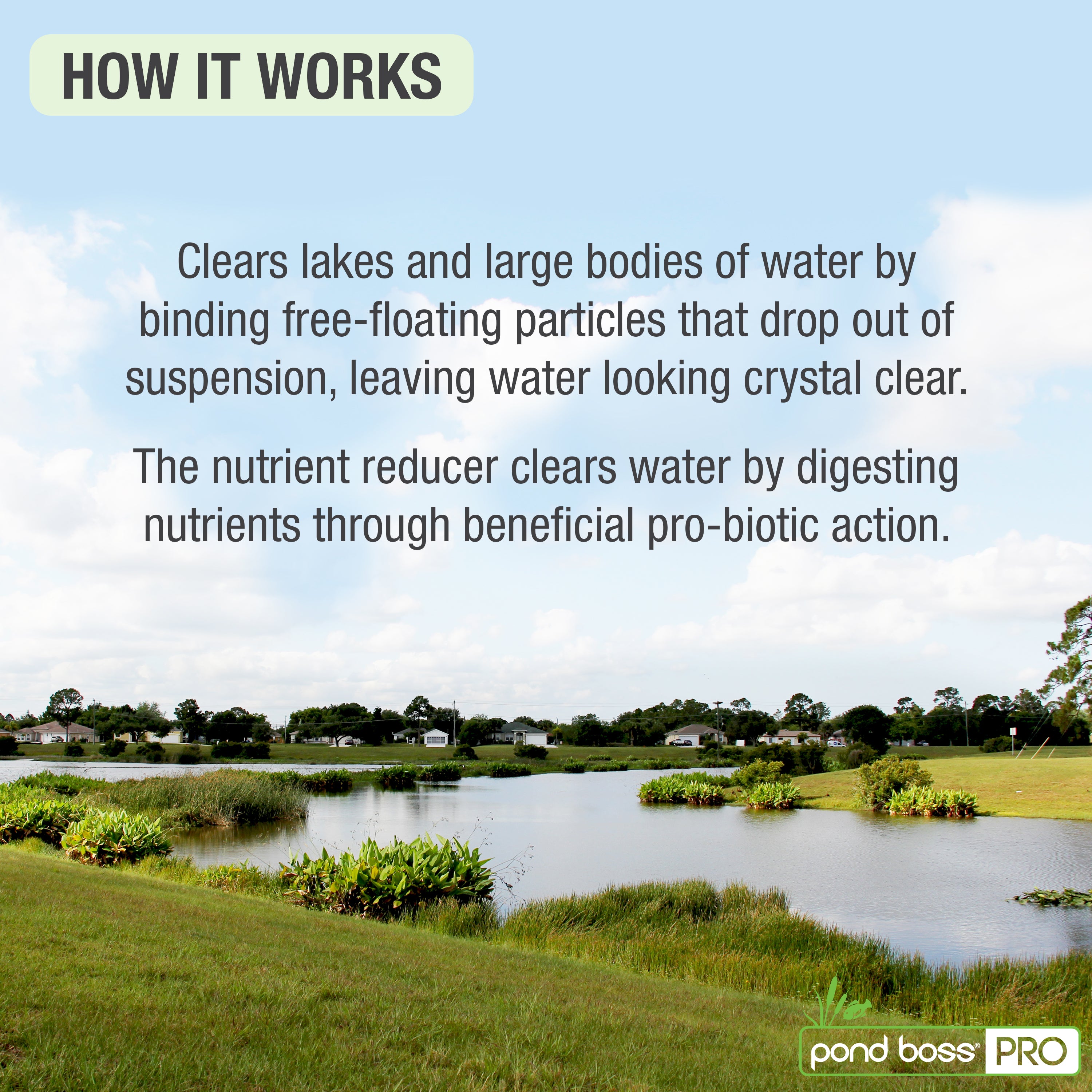 Water Clarifier, 1 gallon How It Works