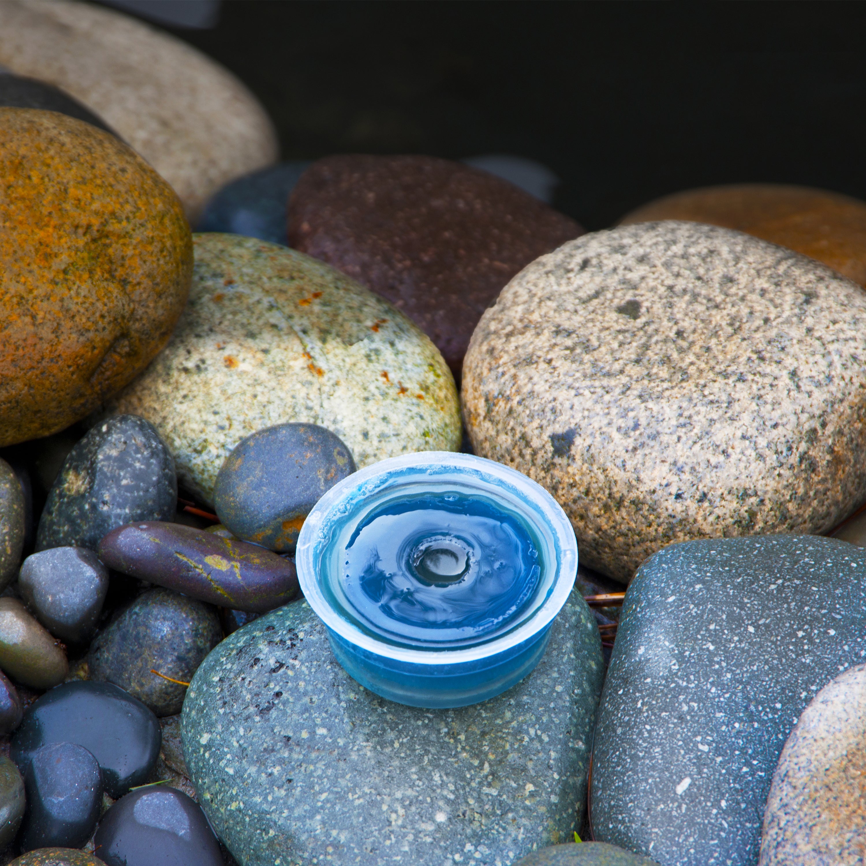 Pond Polish™ Water Treatment Gummy