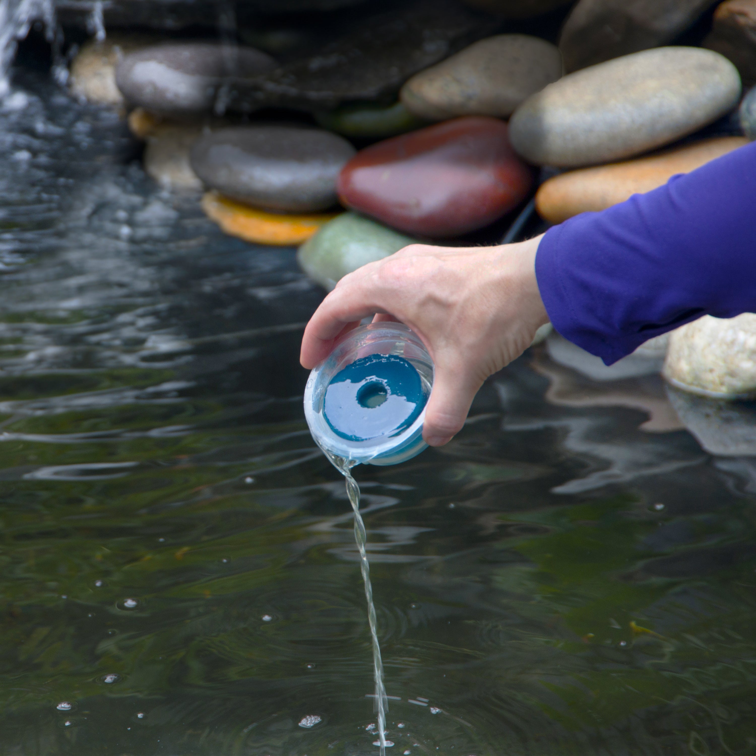 Pond Polish™ Water Treatment Gummy