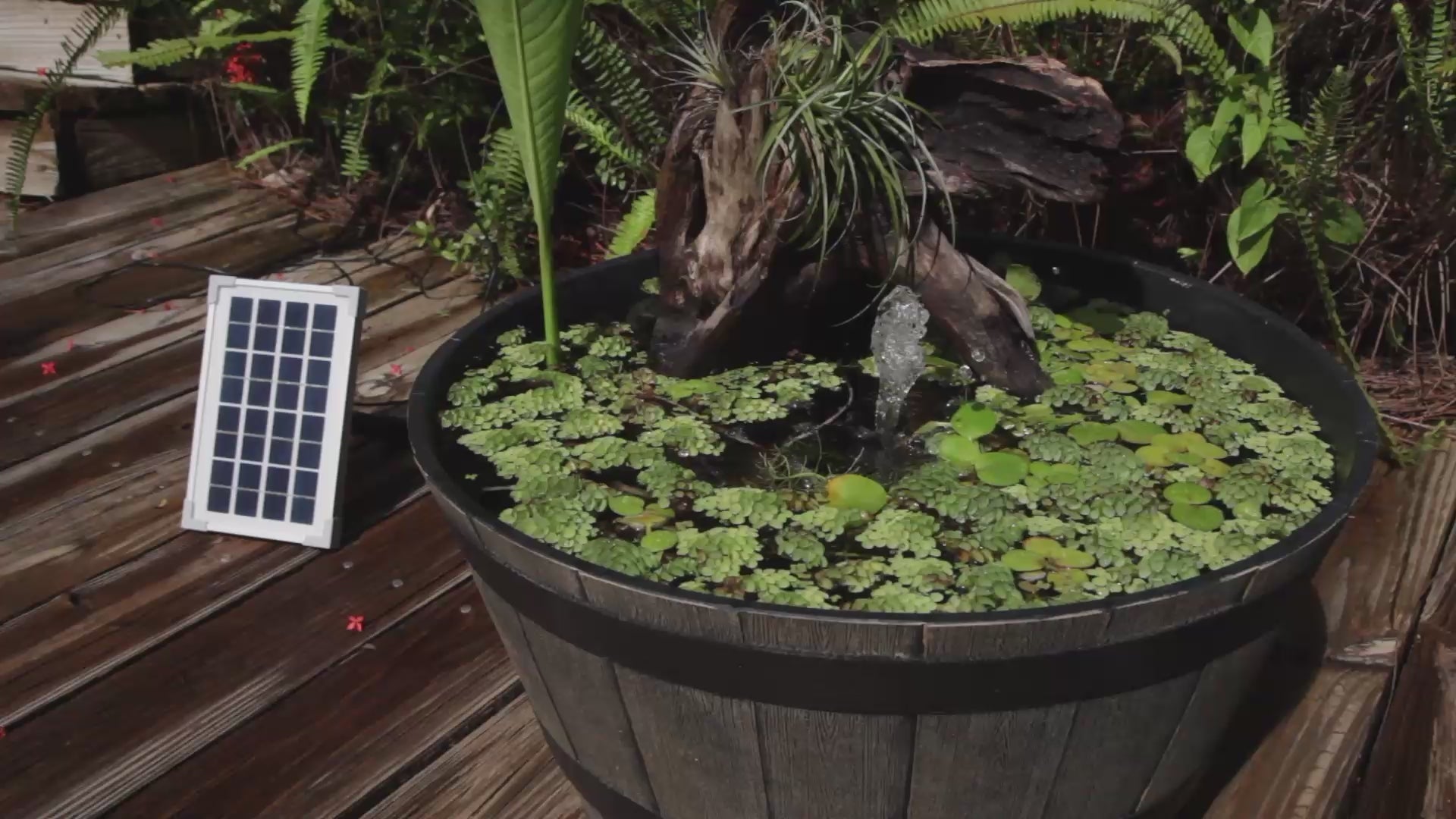Learn more about the 80 GPH pond boss Solar Pump Kit