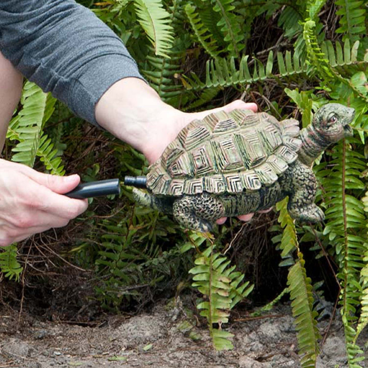 Turtle Spitter