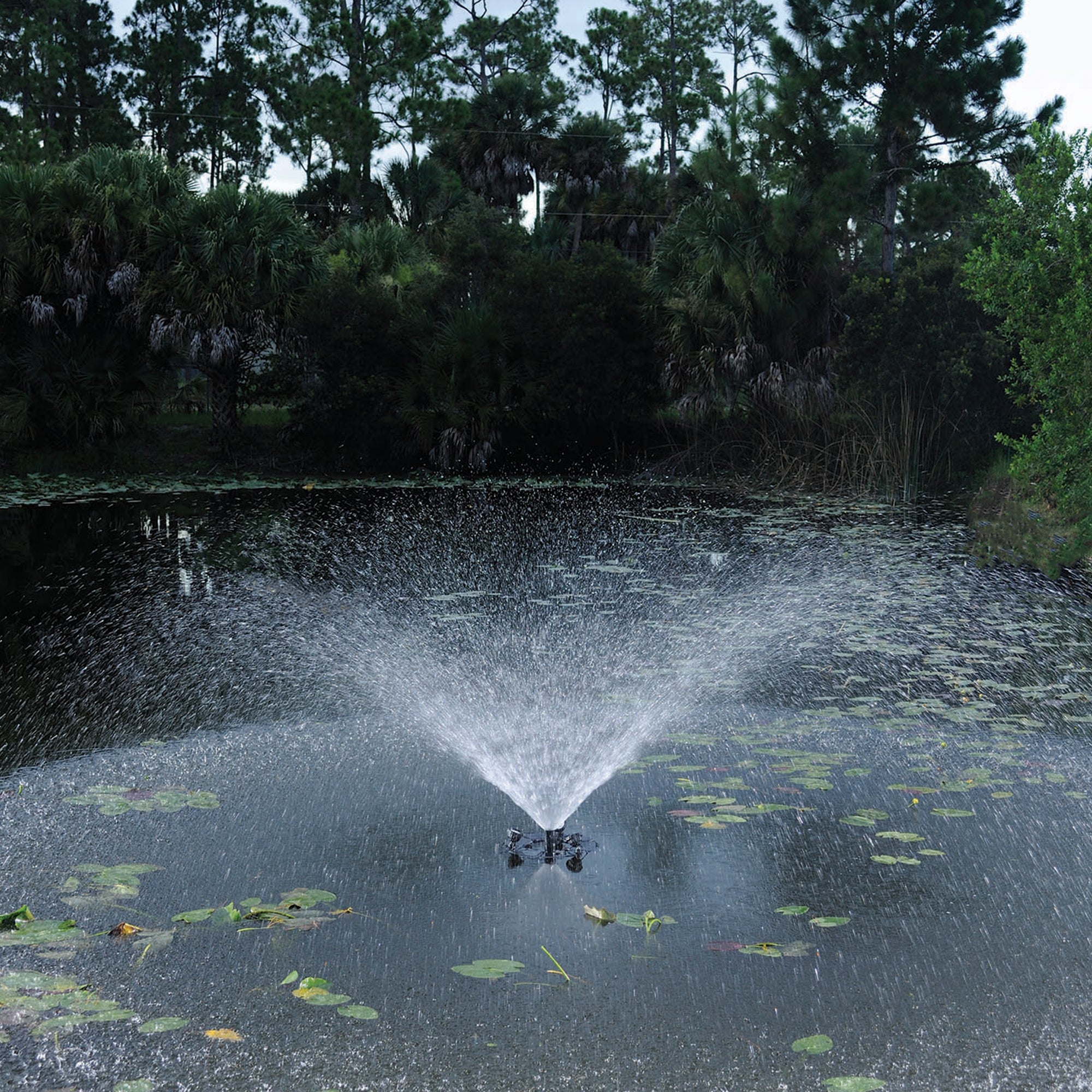 1/2 HP Floating Fountain with Lights Trumpet Nozzle