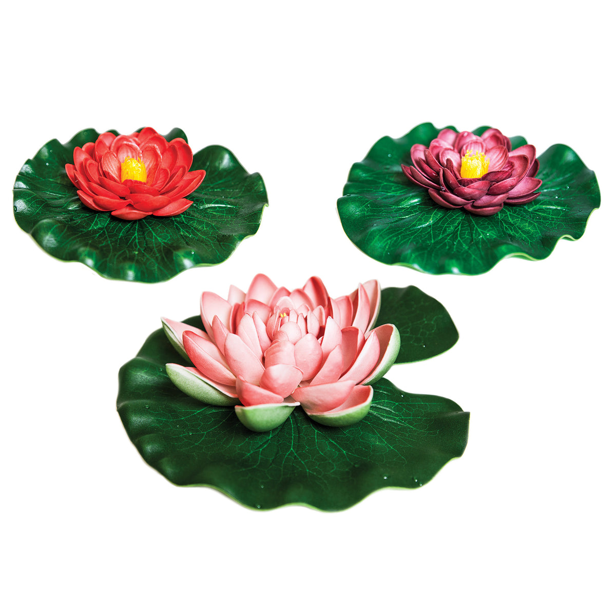 Pond Boss Floating Pond Lily Pad Variety Pack